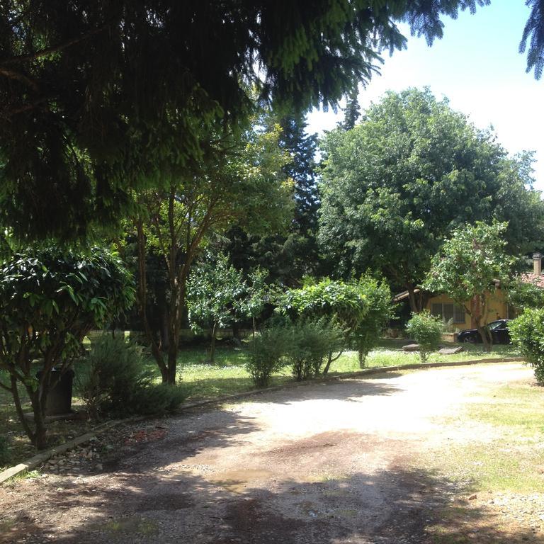 La Piccola Oasi Con Parcheggio Apartment Florence Ngoại thất bức ảnh